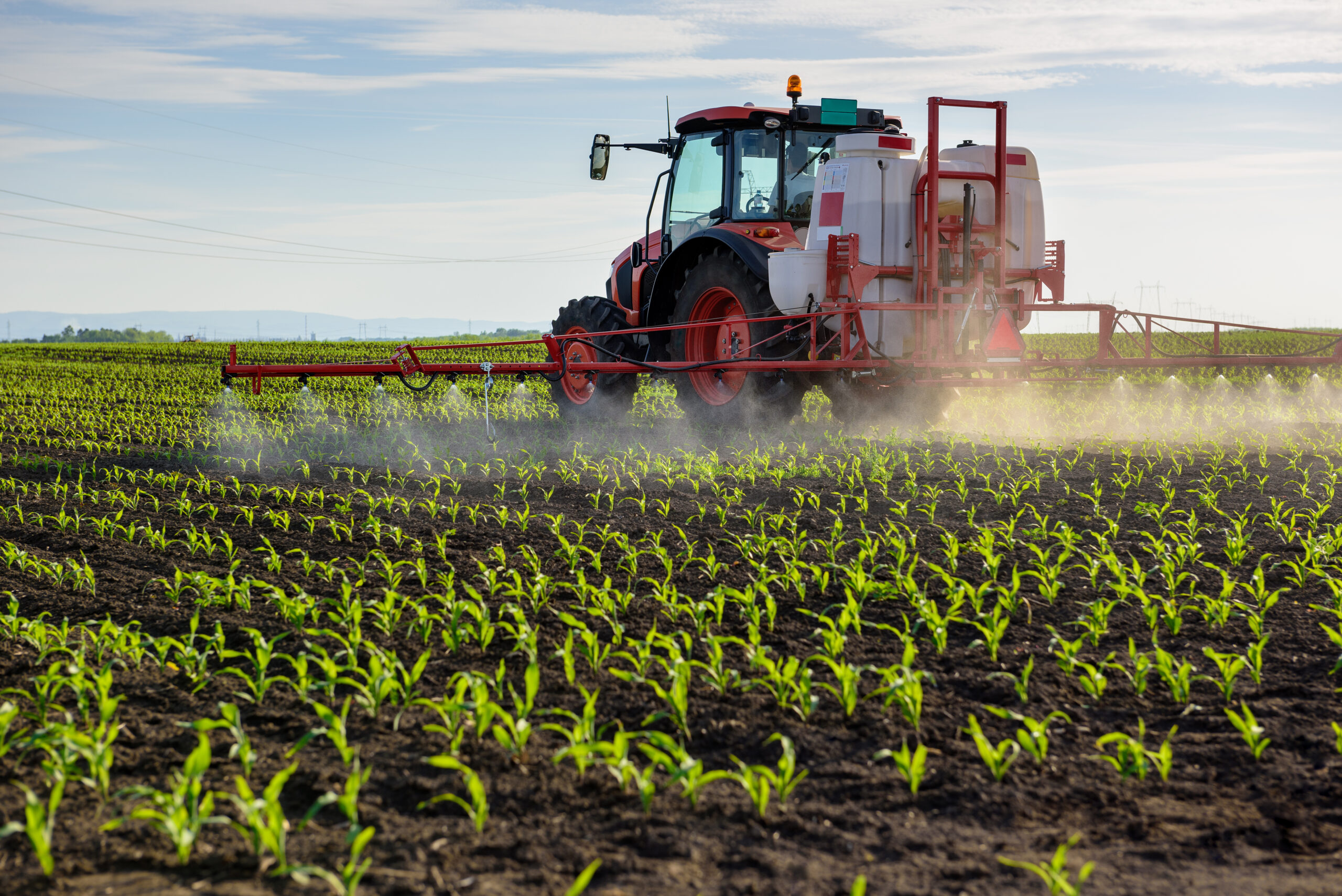Conventional farming field